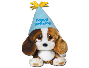 a puppy in a birthday hat